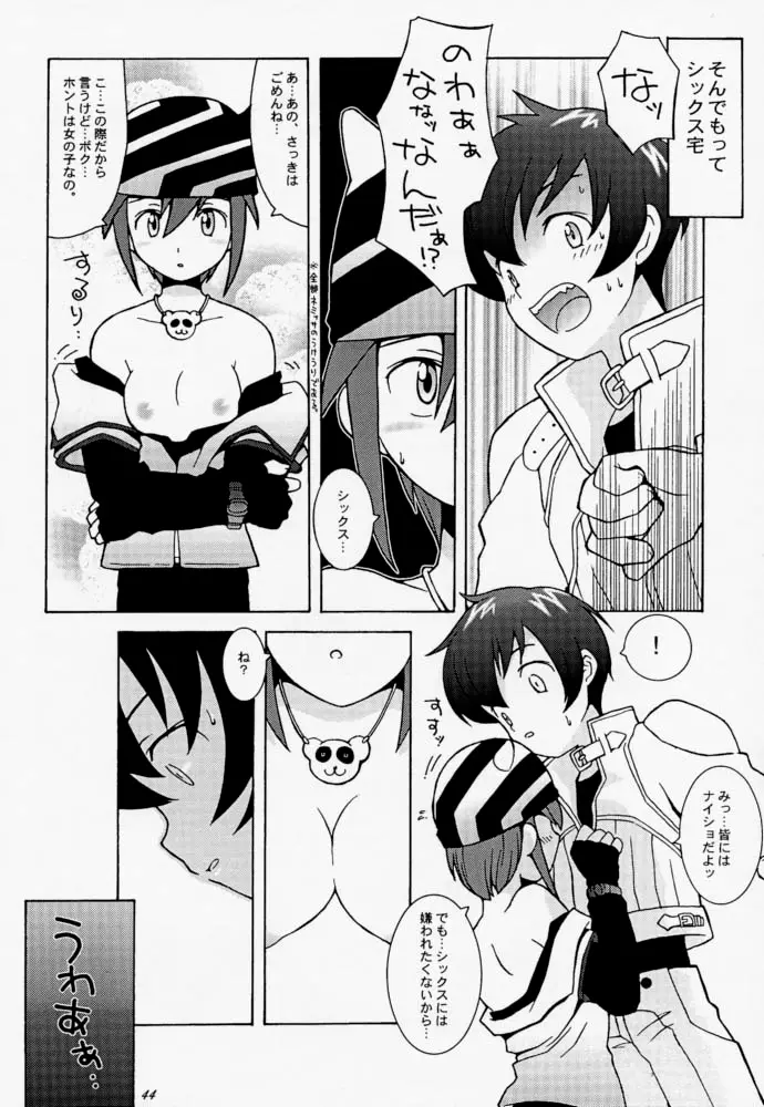 Page 43
