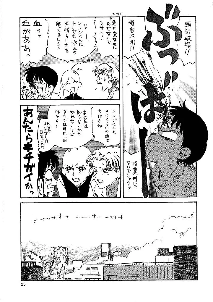 Page 25