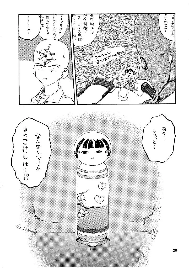 Page 29