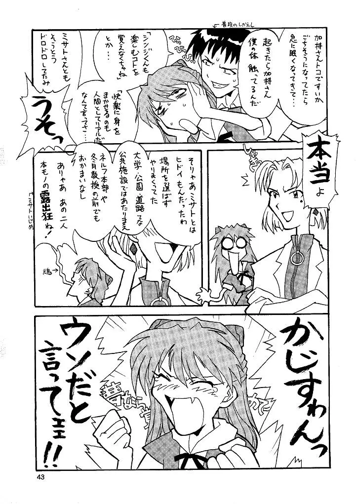 Page 43