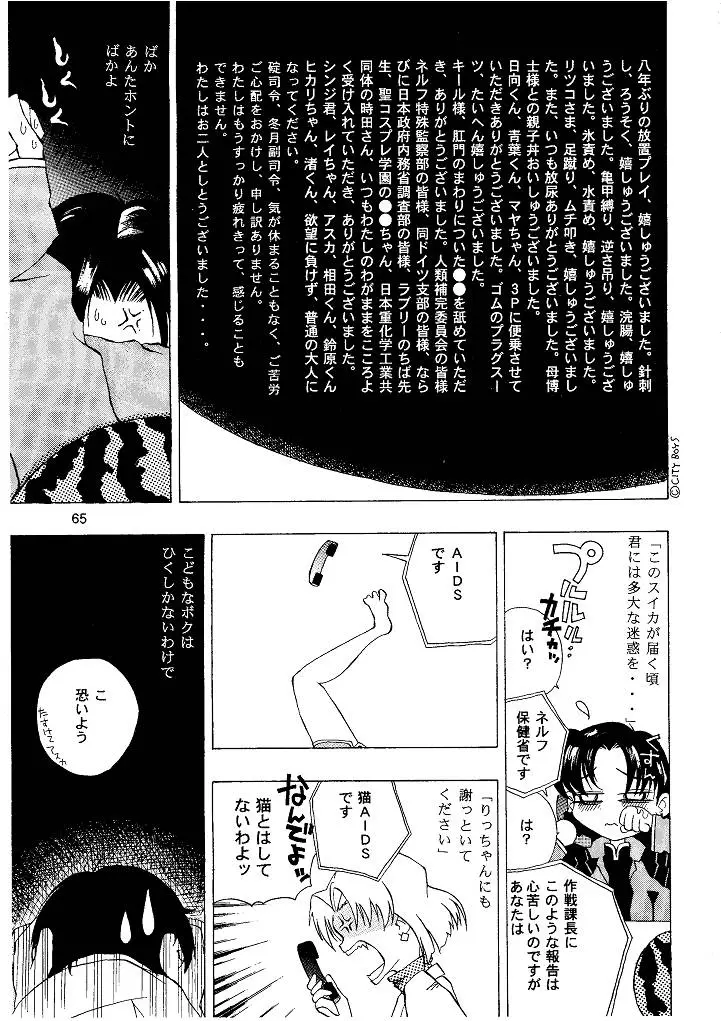 Page 65