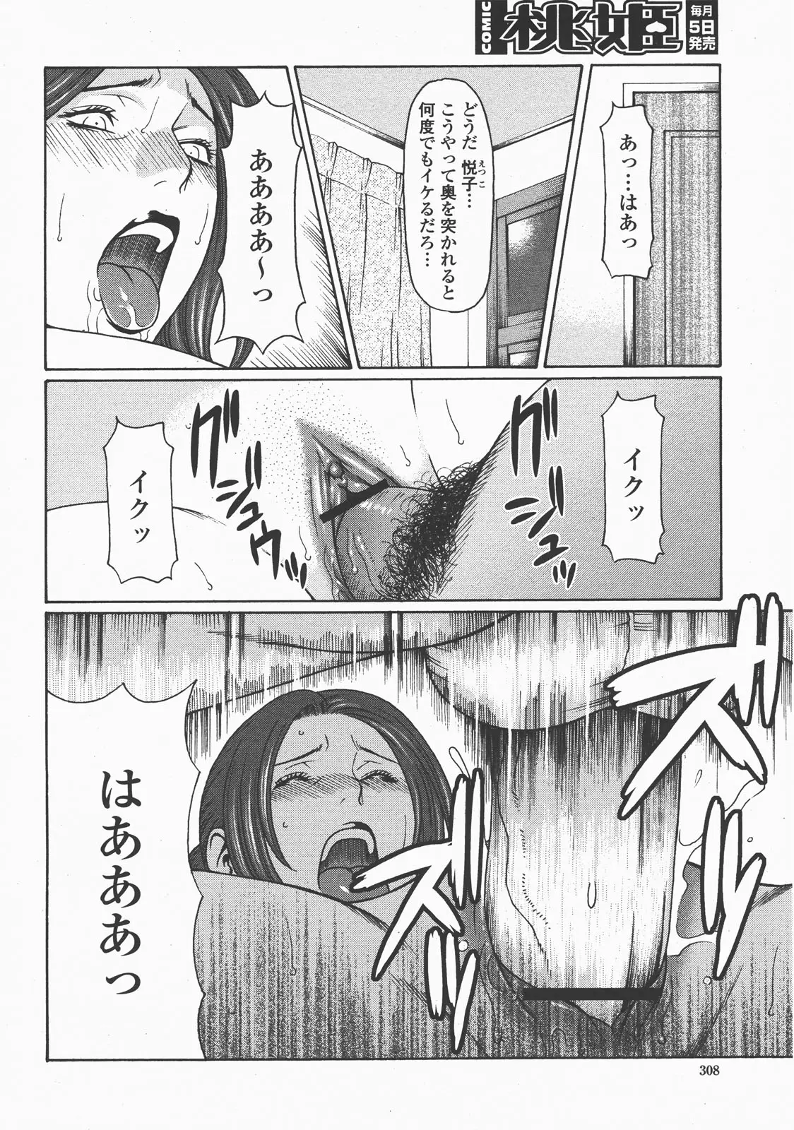 Page 311