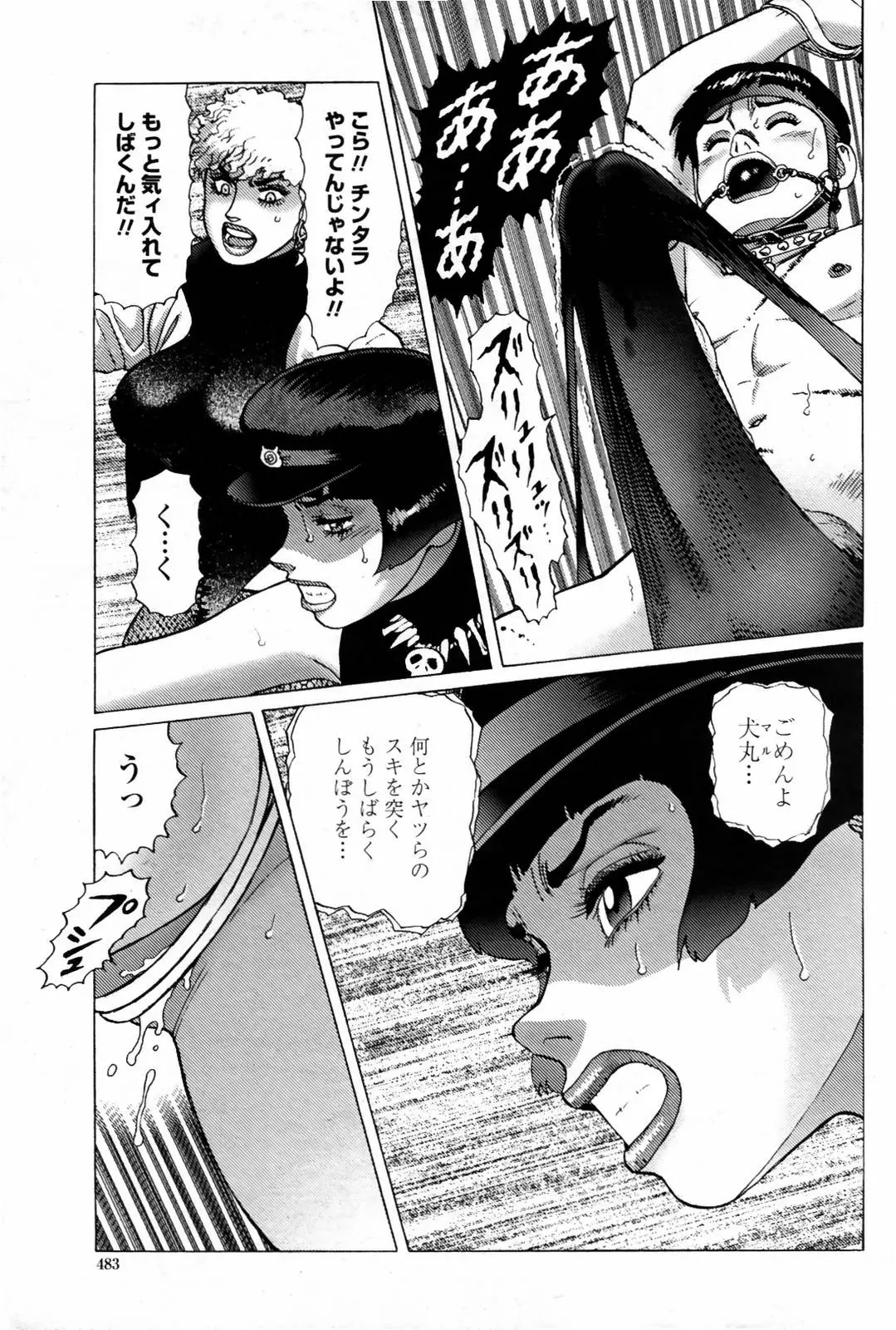 Page 485