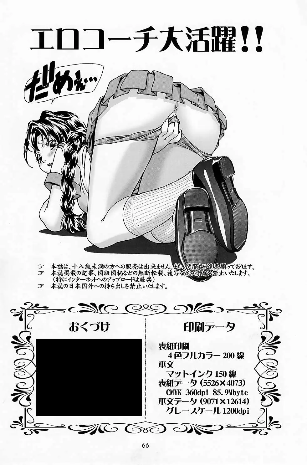 Page 65