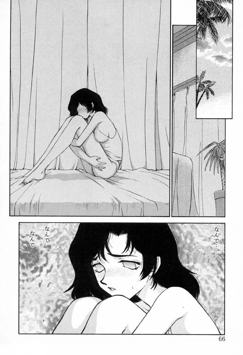Page 65