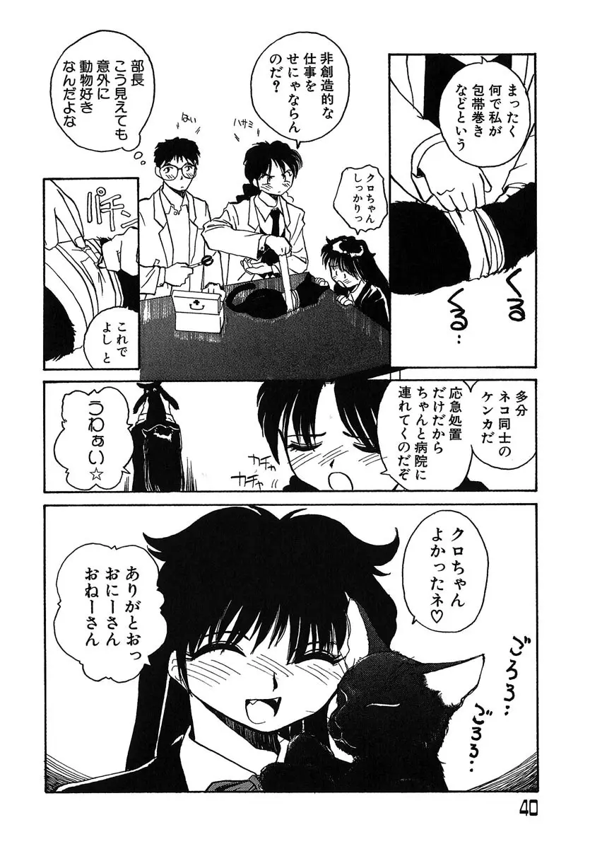 Page 41