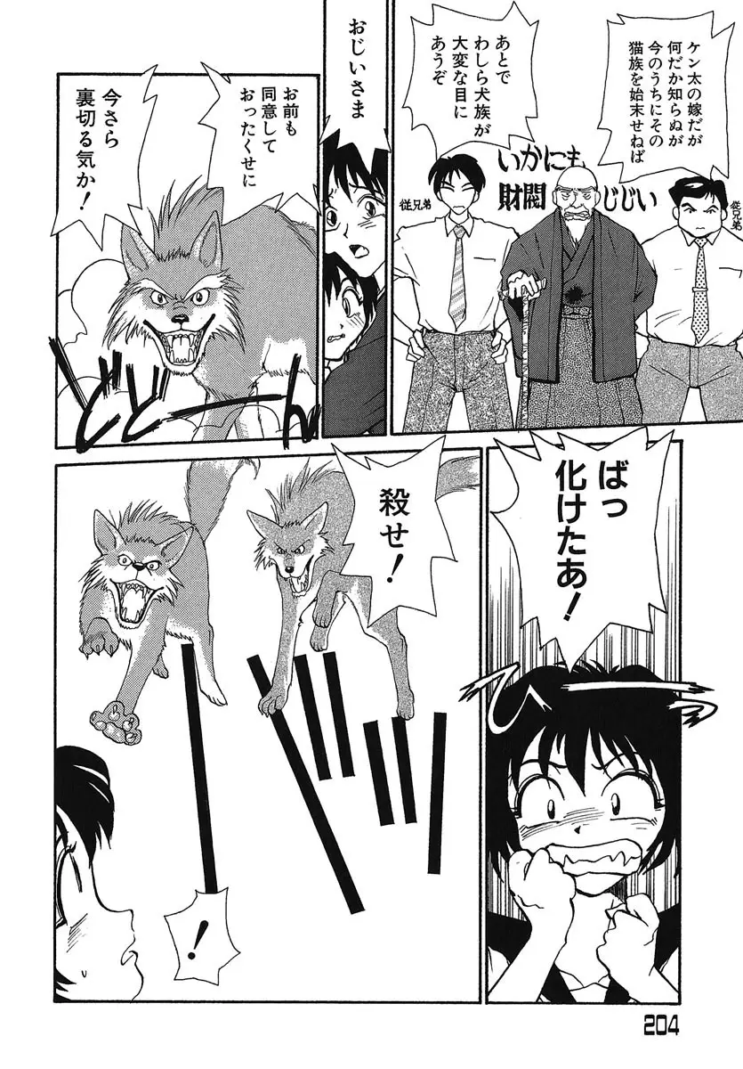 Page 205