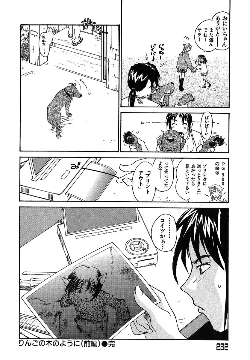 Page 233
