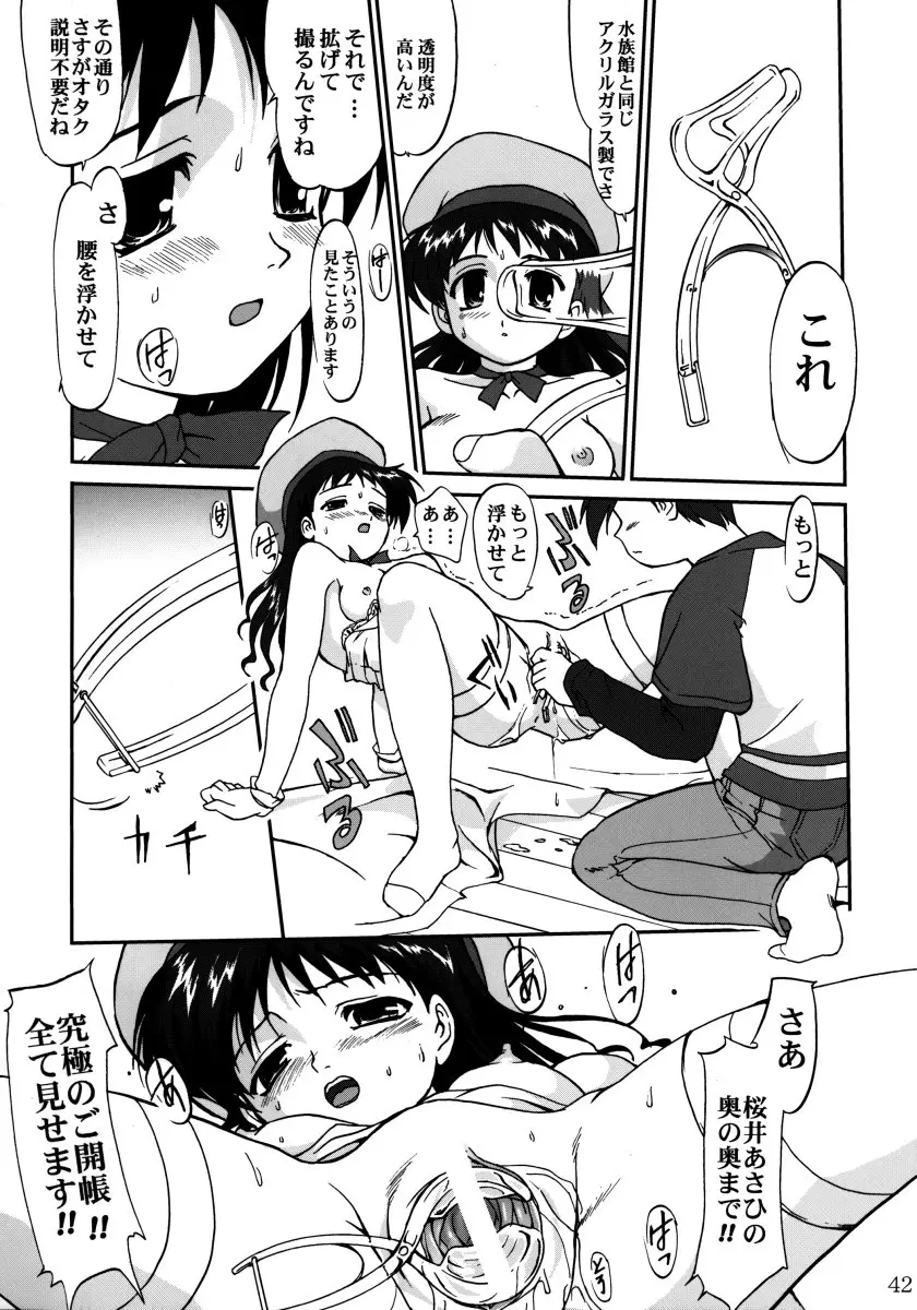 Page 41
