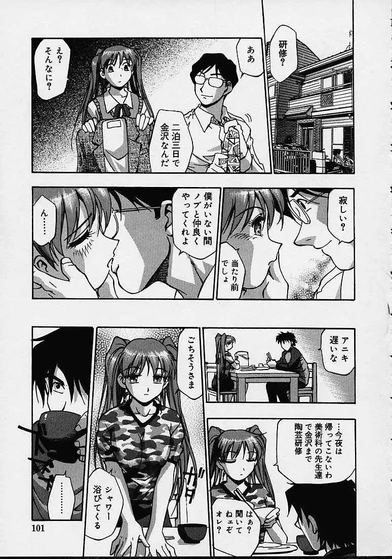 Page 101