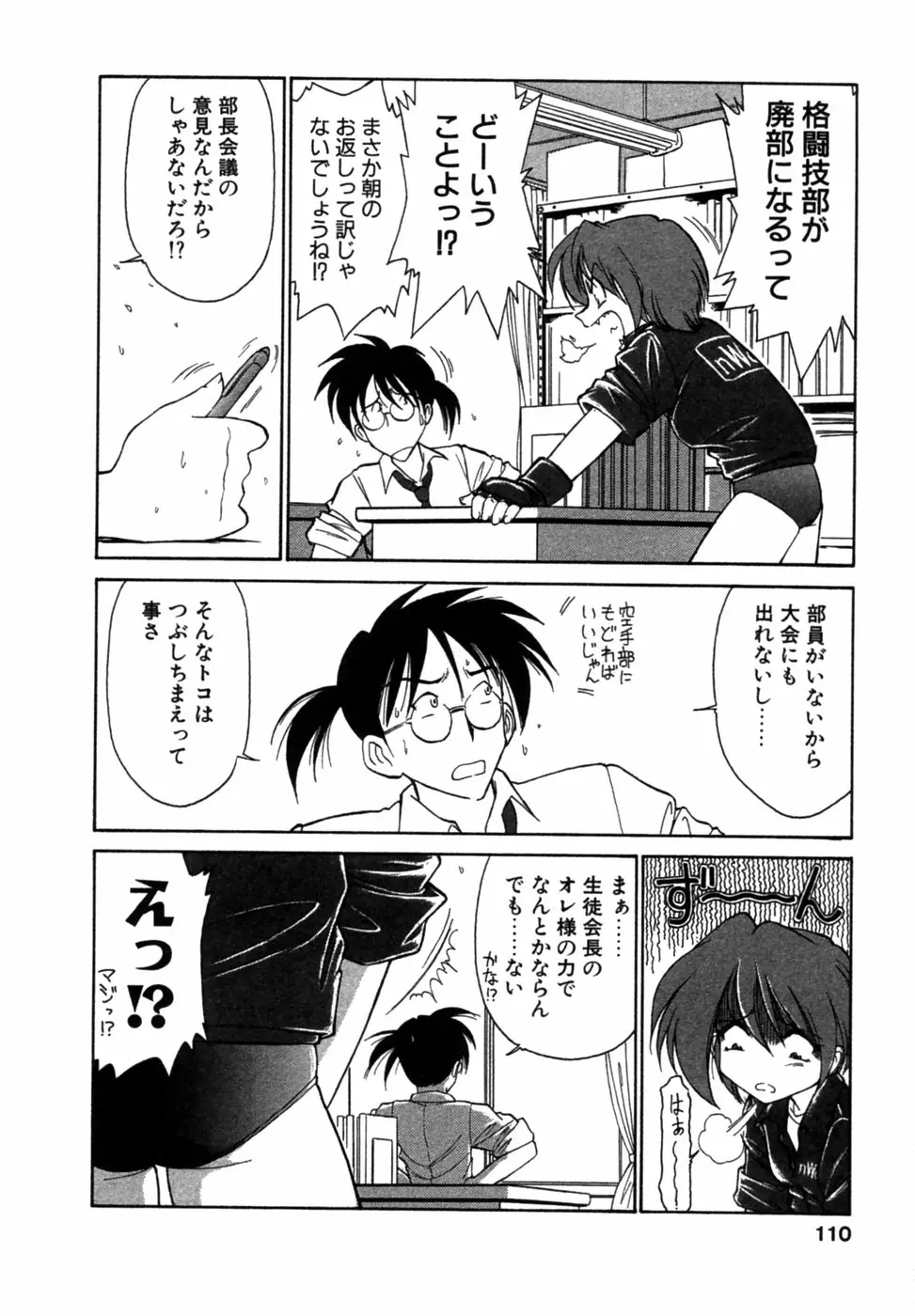 Page 111