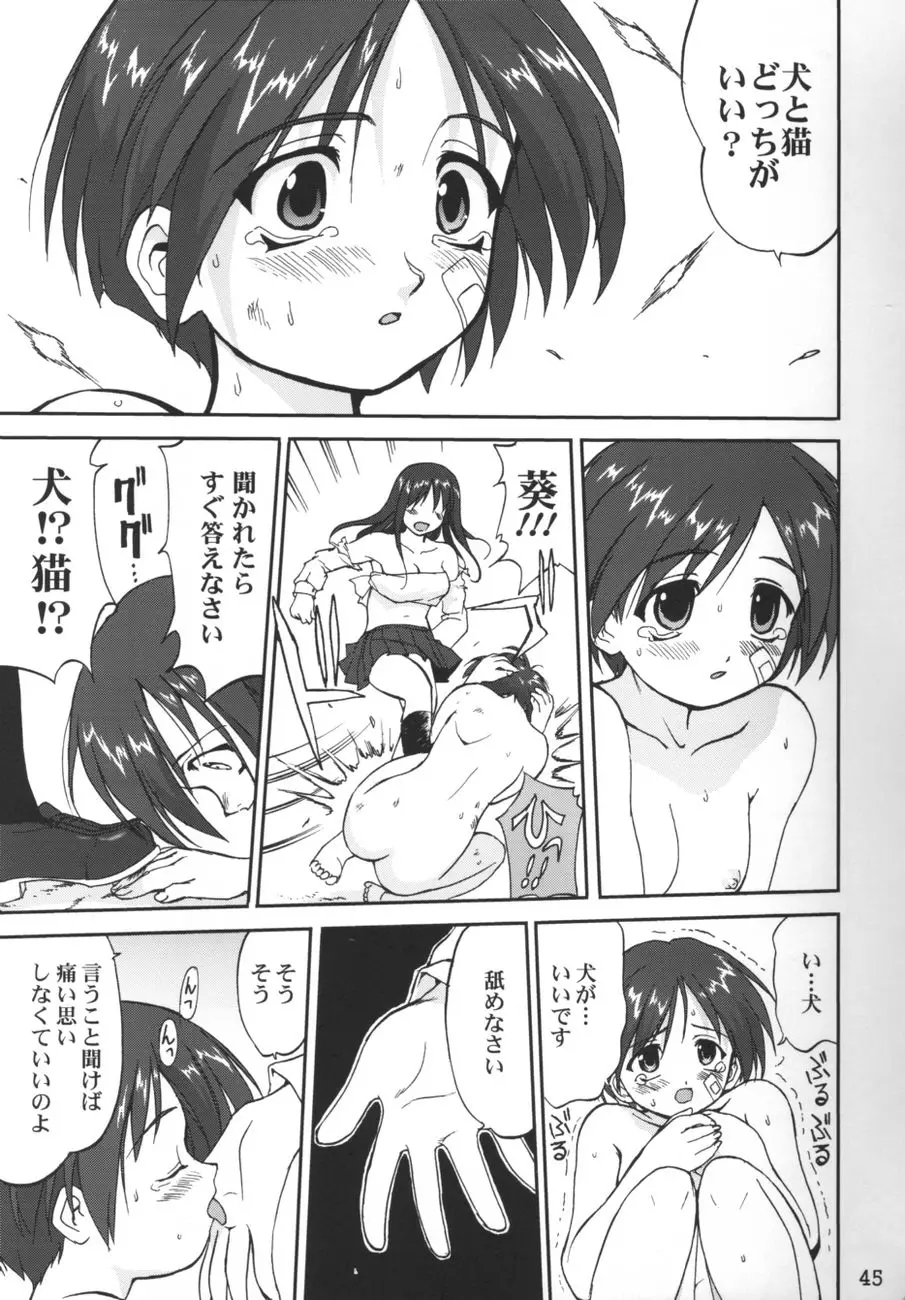 Page 45