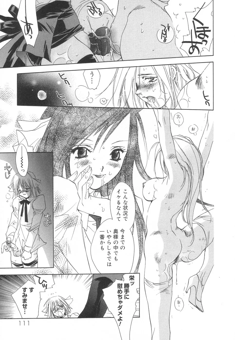 Page 111