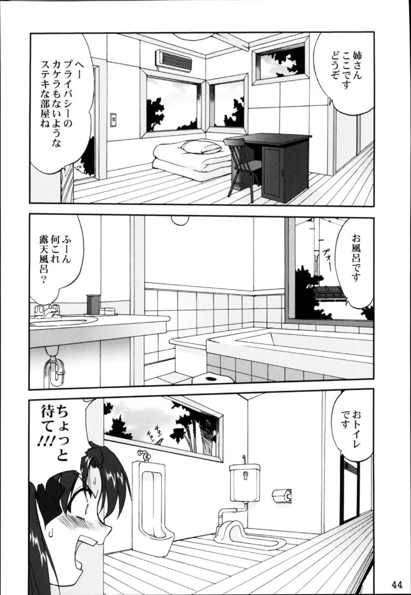 Page 43