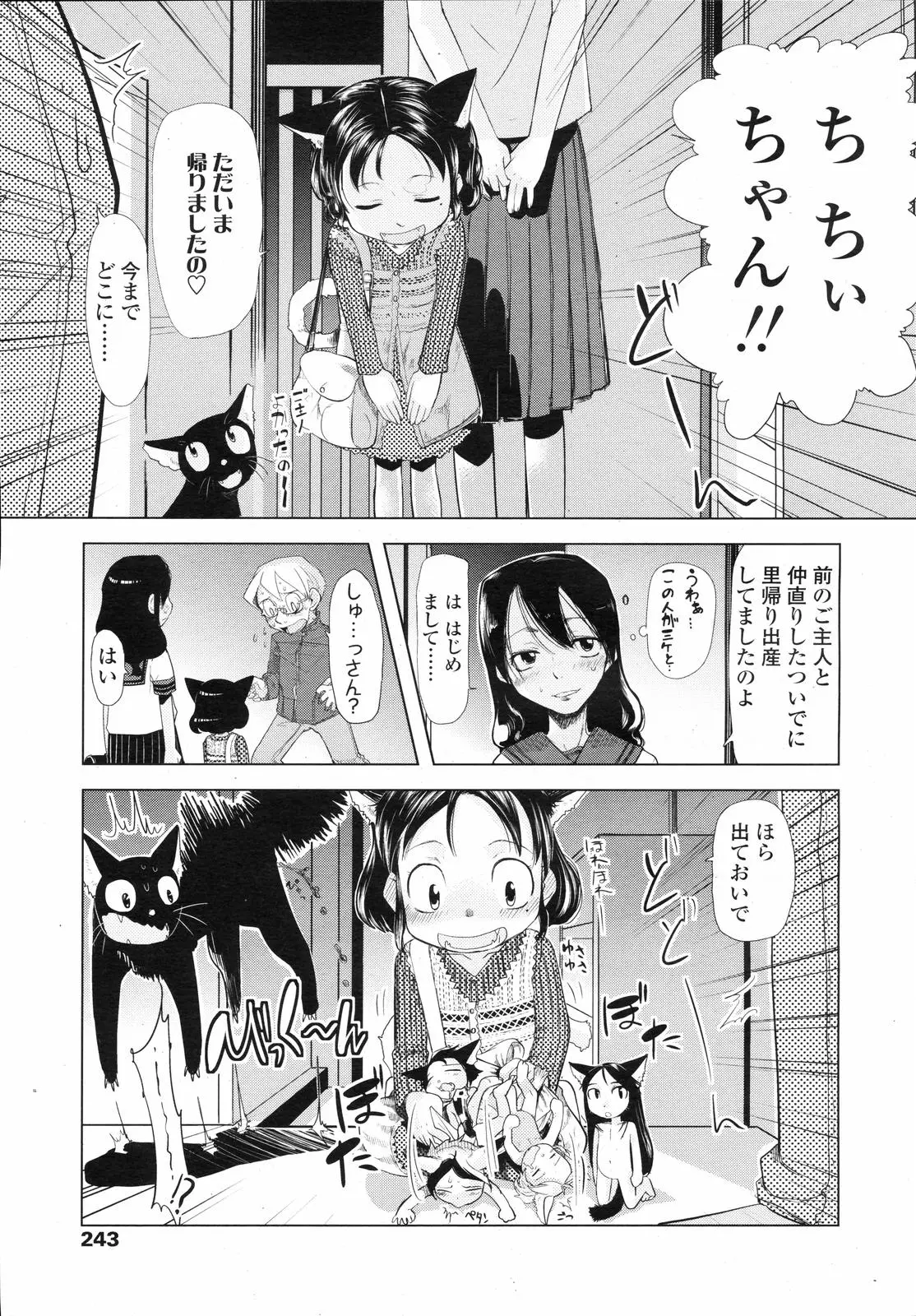 Page 243