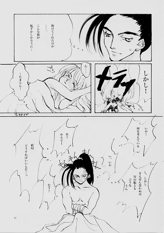 Page 86
