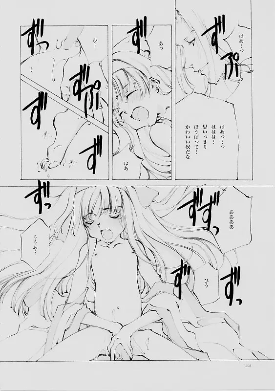 Page 207
