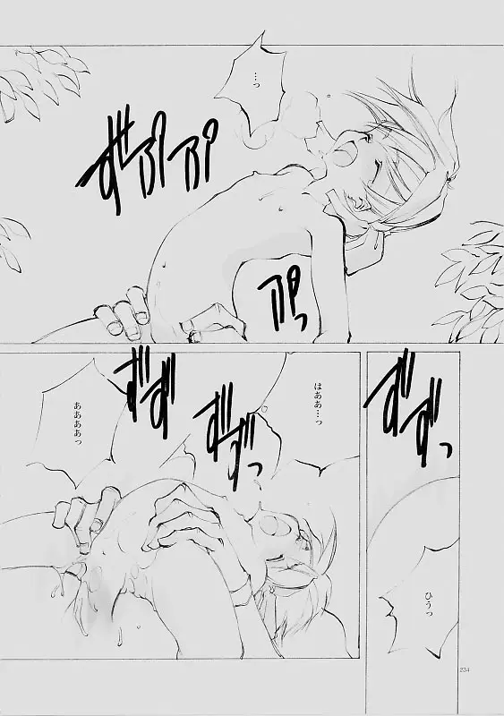 Page 233