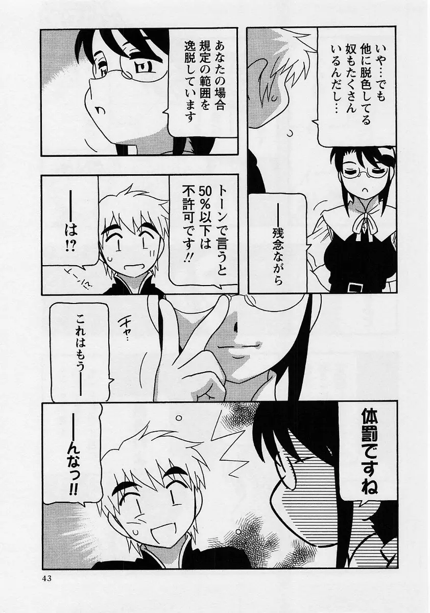 Page 43