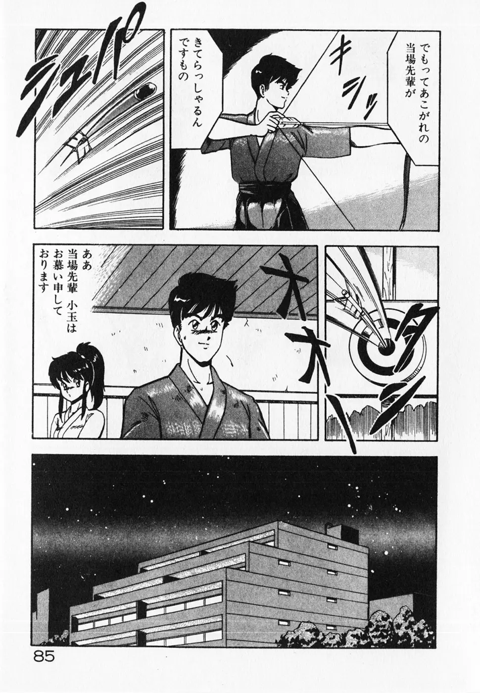 Page 87