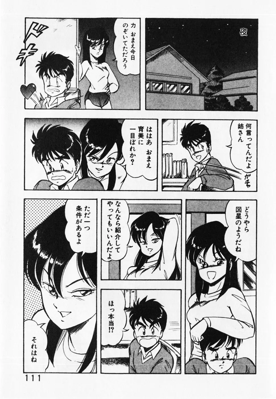 Page 113