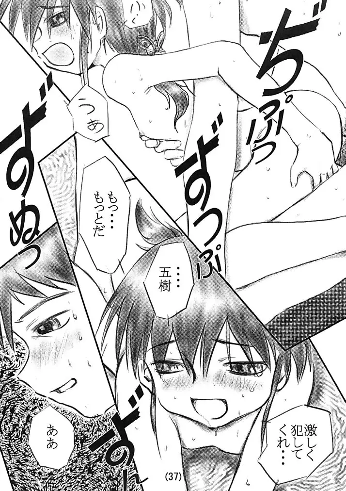Page 36