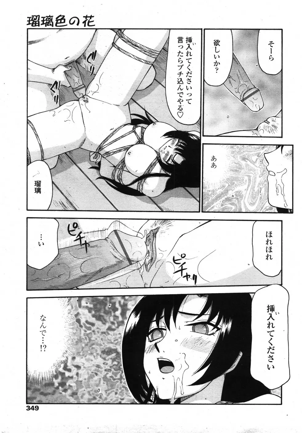 Page 348