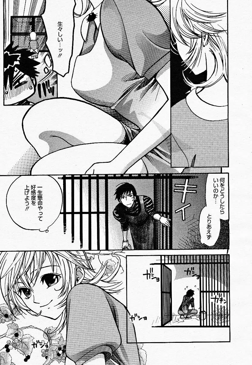 Page 241