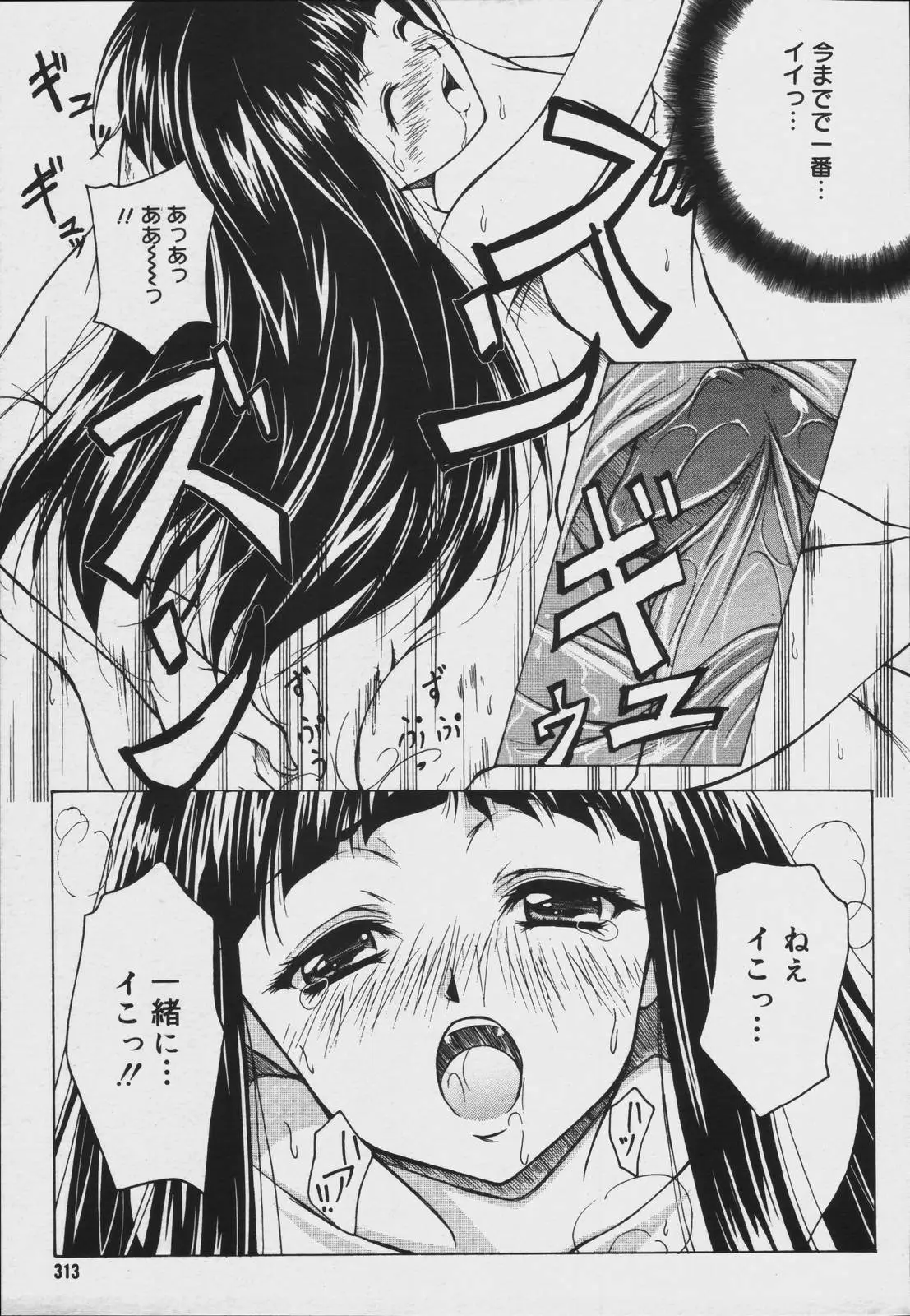 Page 311