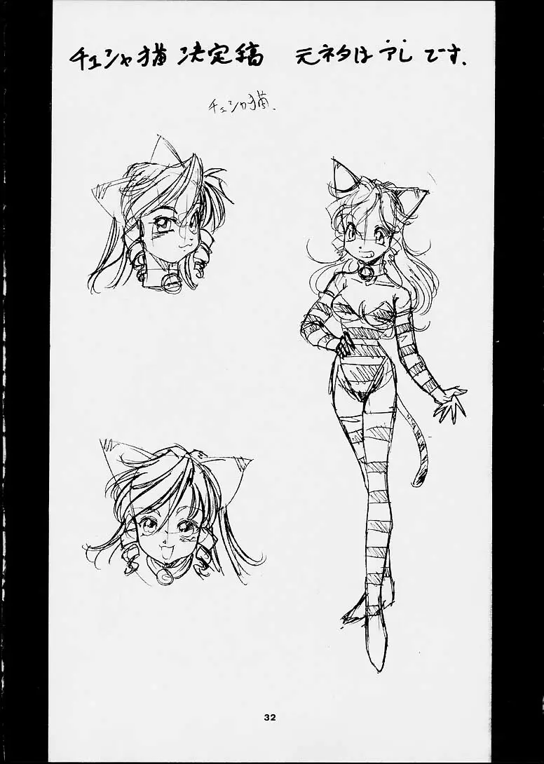 Page 31