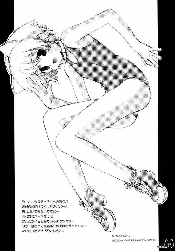 Page 31