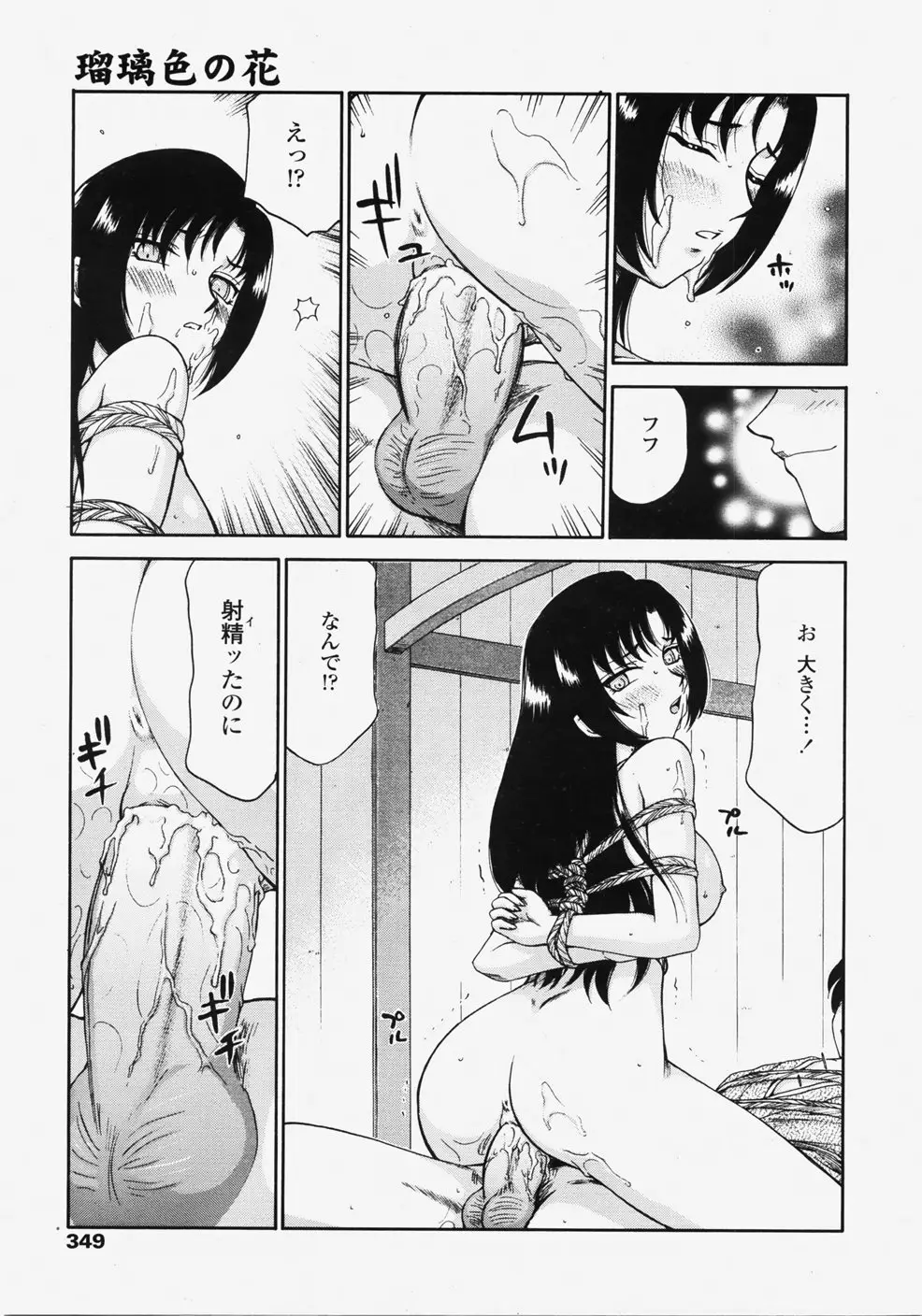 Page 348