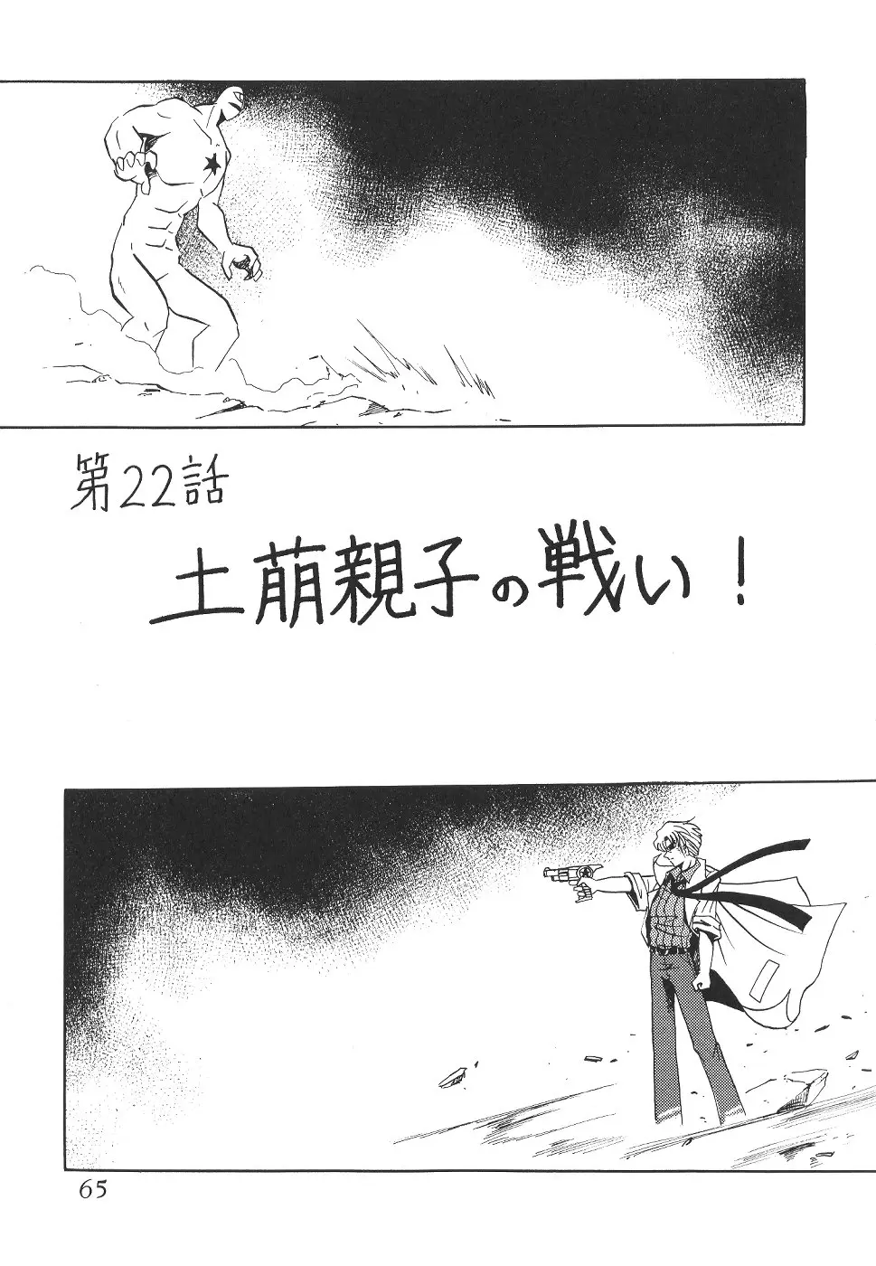 Page 65
