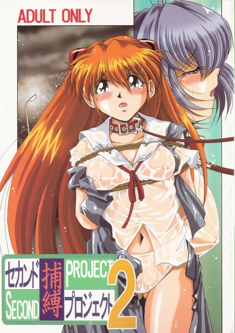 [Thirty Saver Street 2D Shooting (Maki Hideto, Sawara Kazumitsu)] Second Hobaku Project 2 (Neon Genesis Evangelion)