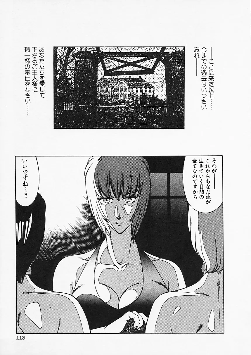 Page 113