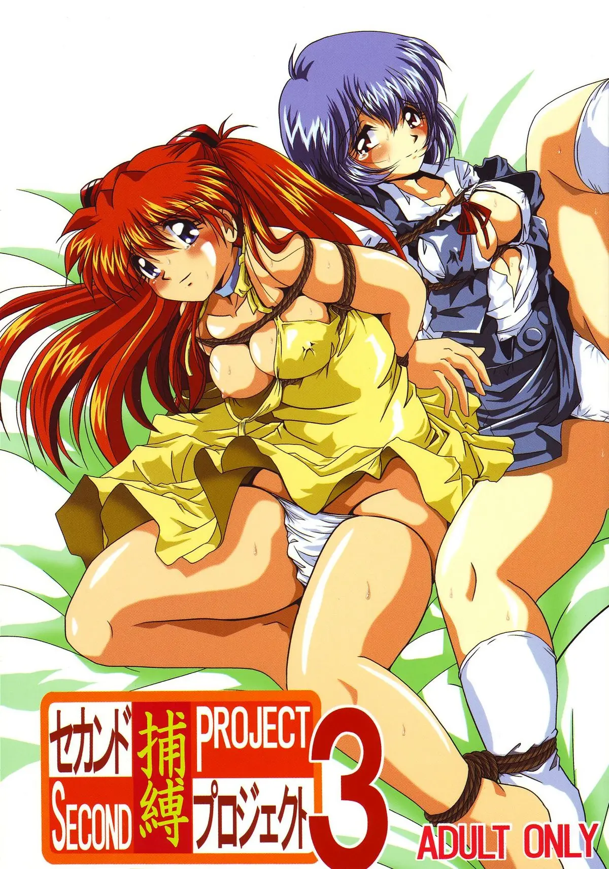 [Thirty Saver Street 2D Shooting (Maki Hideto, Sawara Kazumitsu)] Second Hobaku Project 3 (Neon Genesis Evangelion)