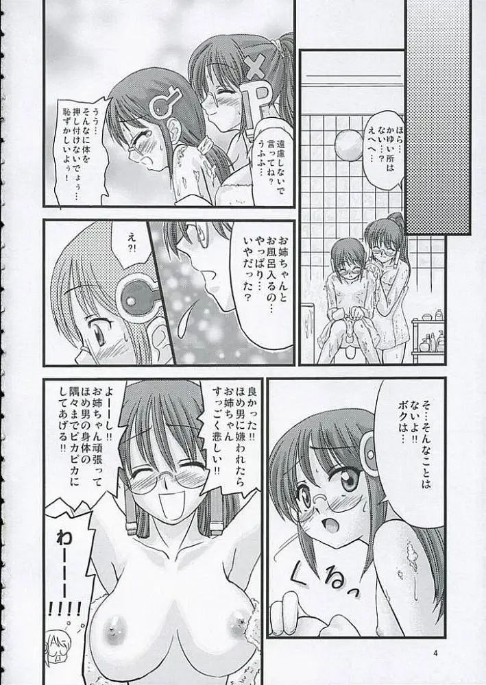 Page 3