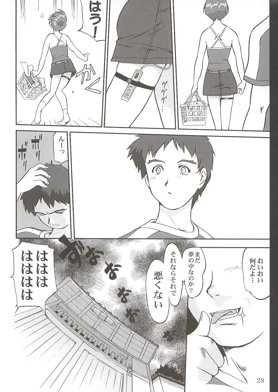 Page 27