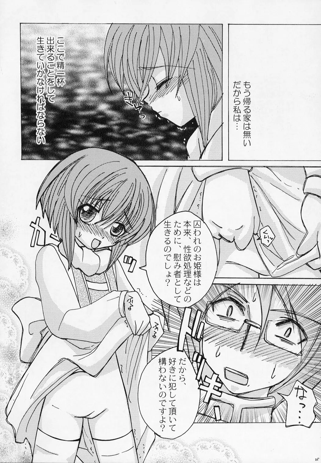 Page 25