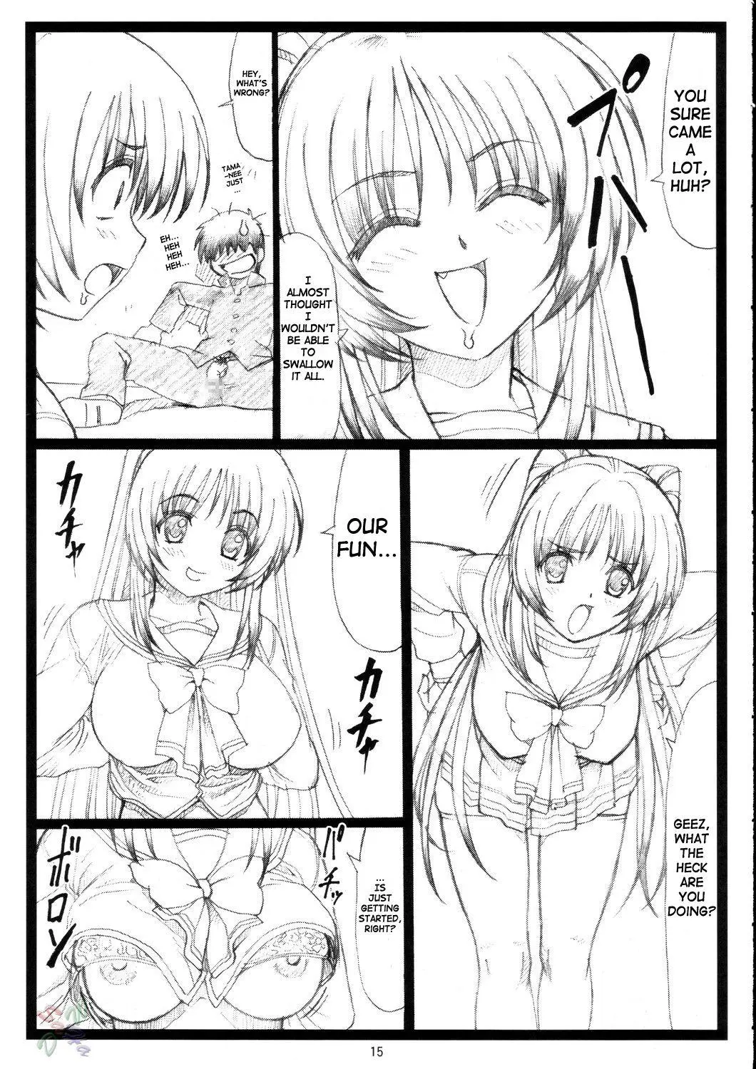 Page 15