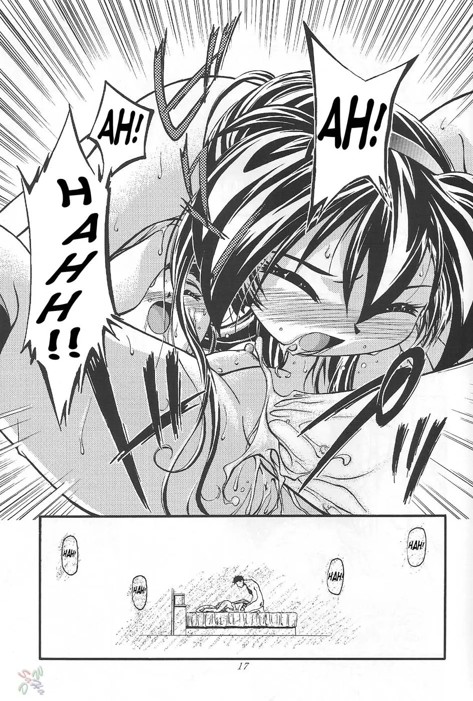 Page 17