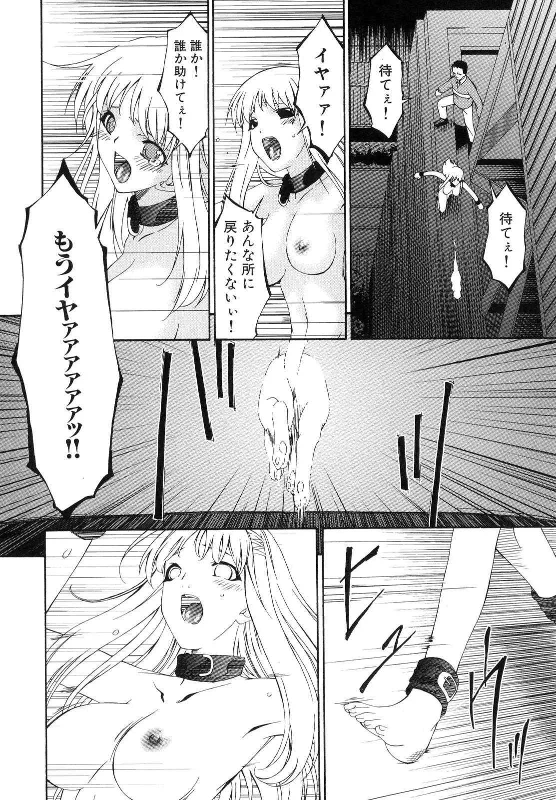 Page 244