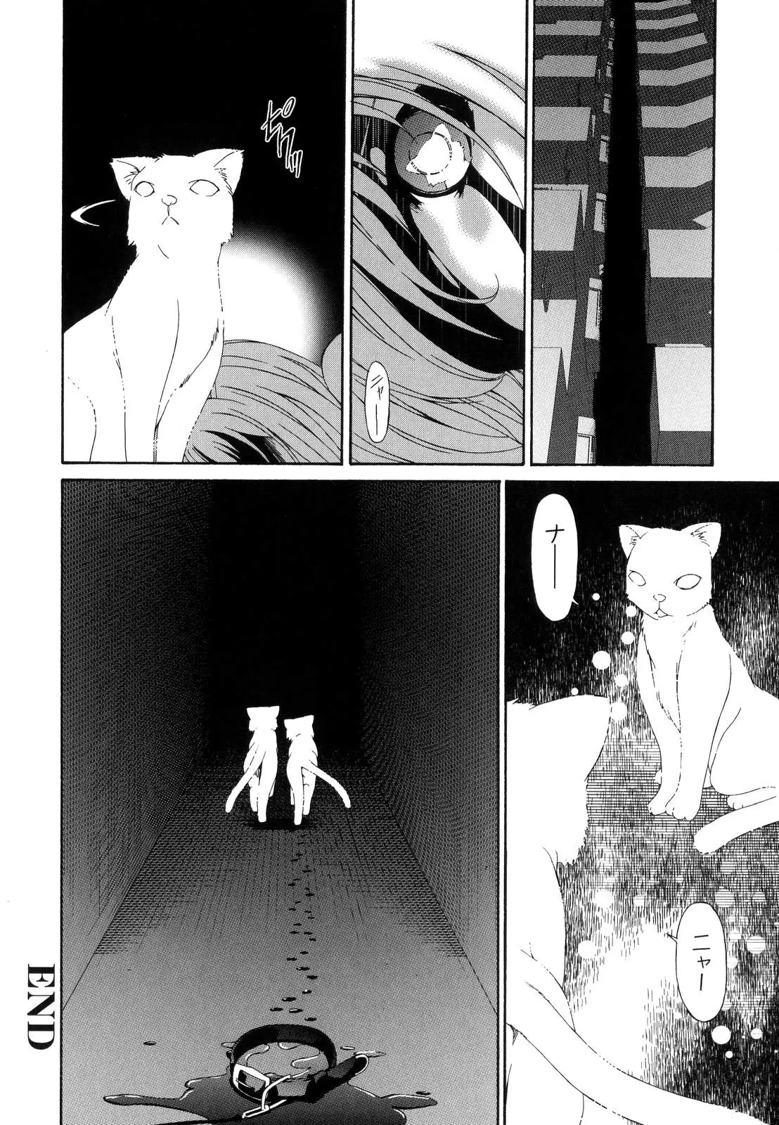 Page 245