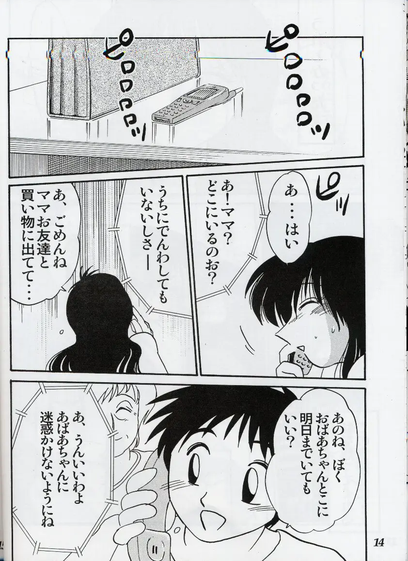 Page 13