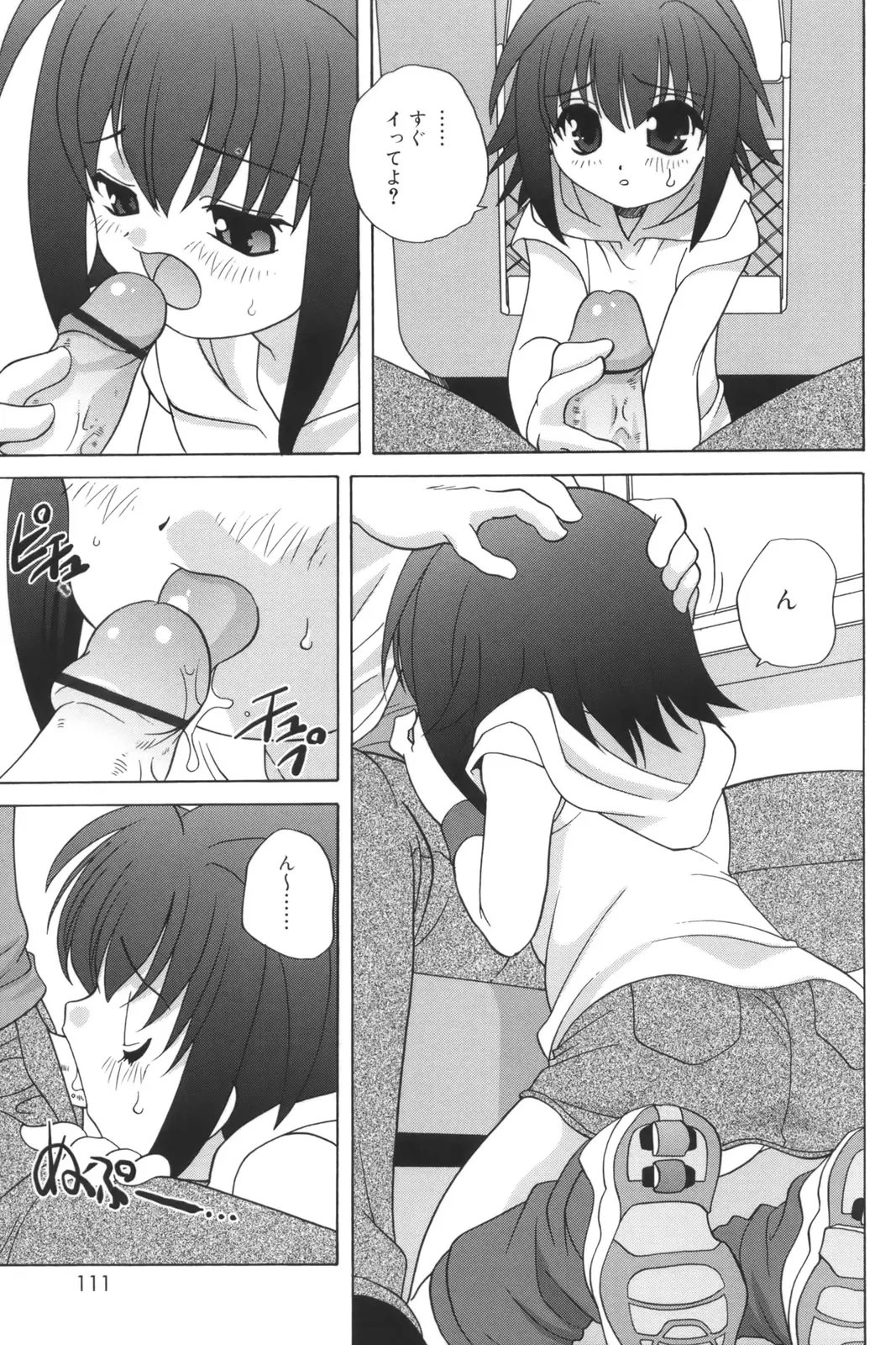 Page 111