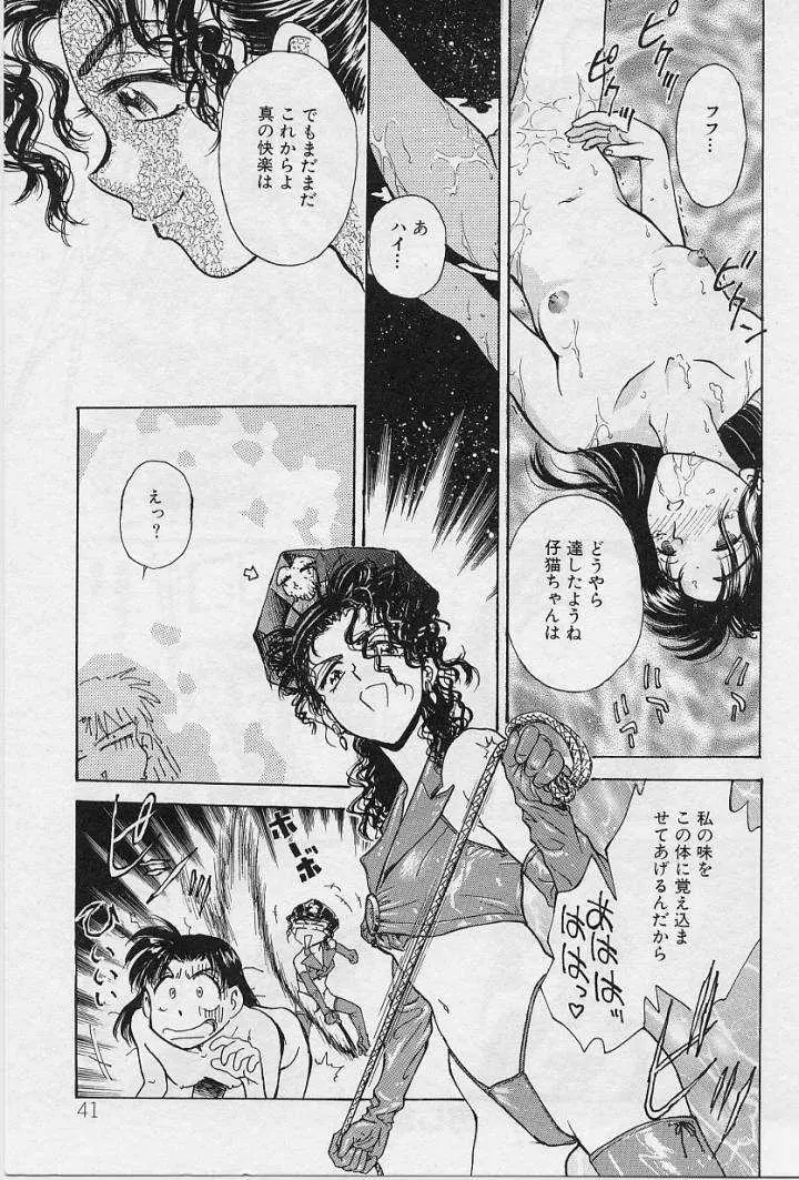 Page 41