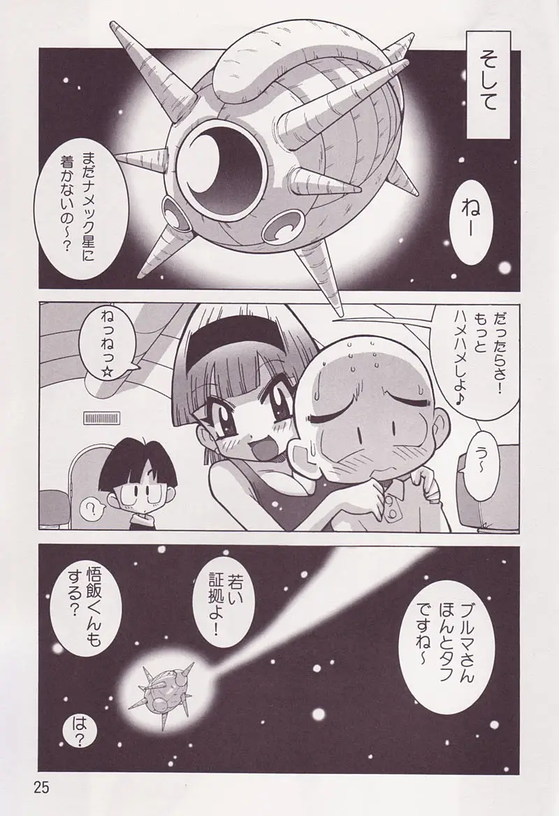 Page 24