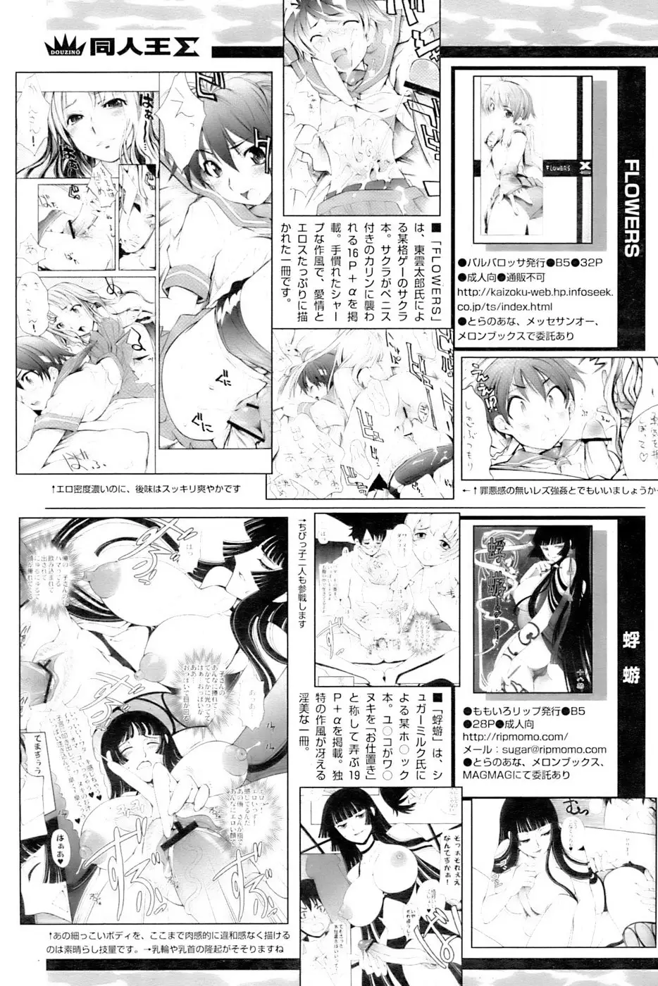 Page 241