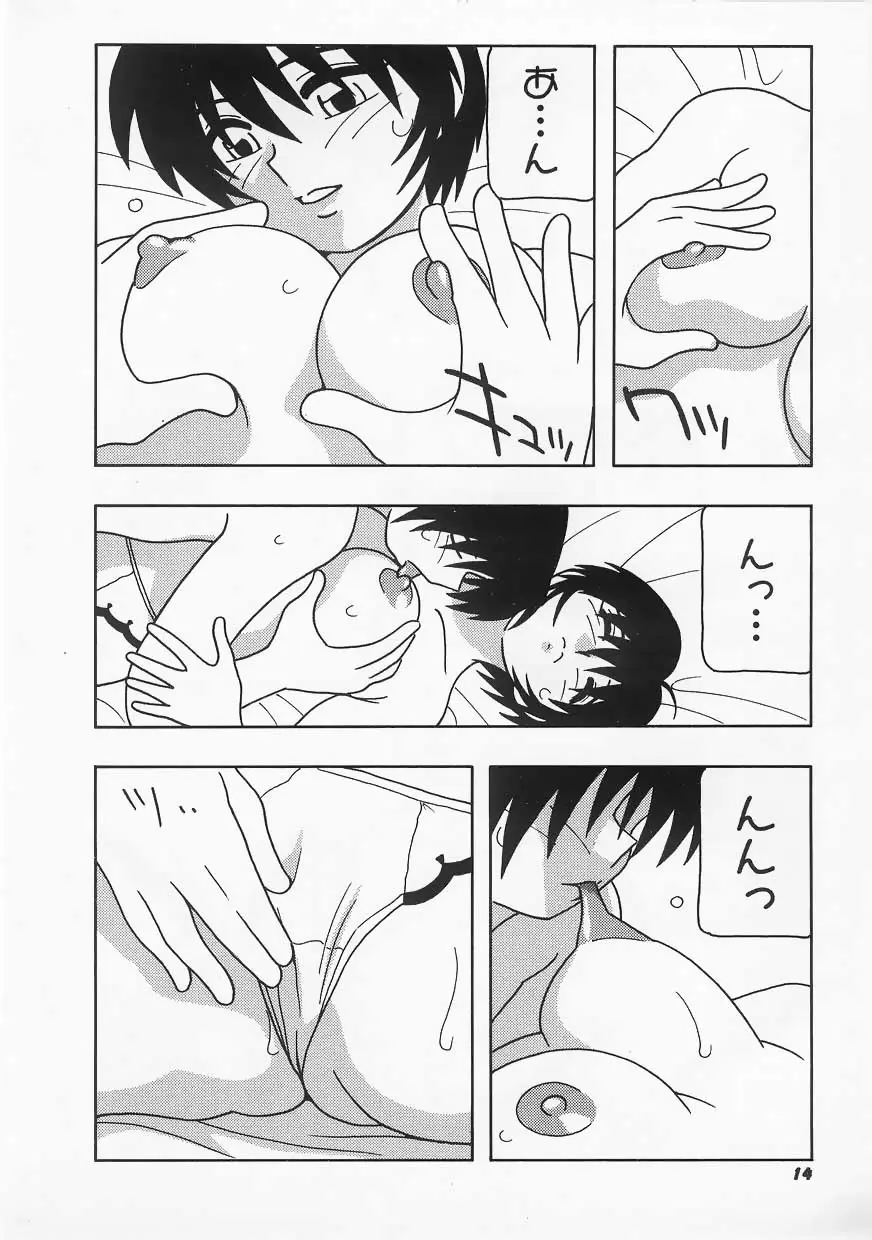Page 14