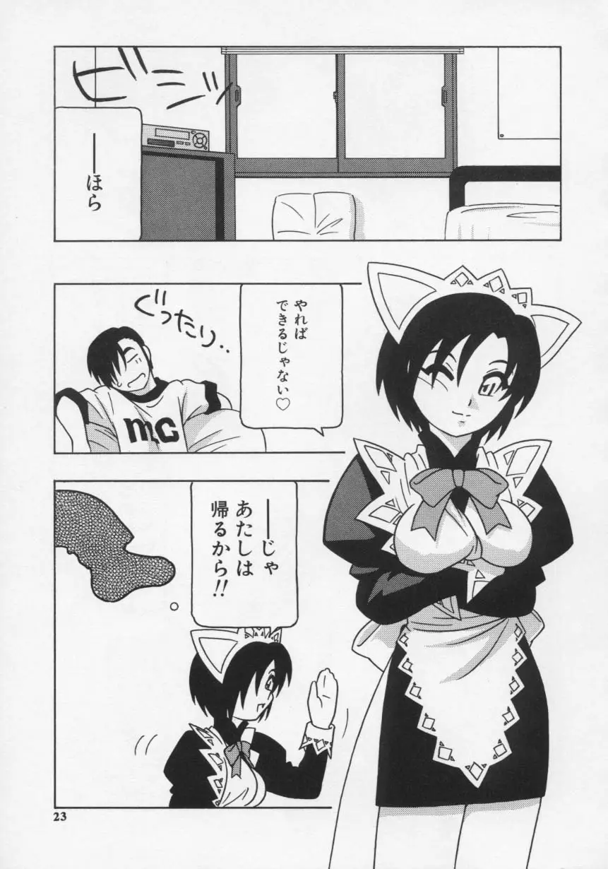 Page 27